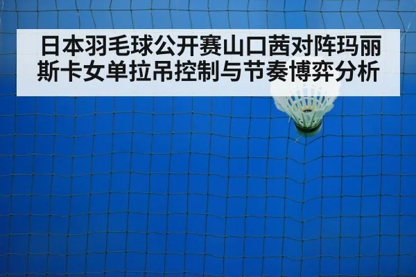 badminton net shot